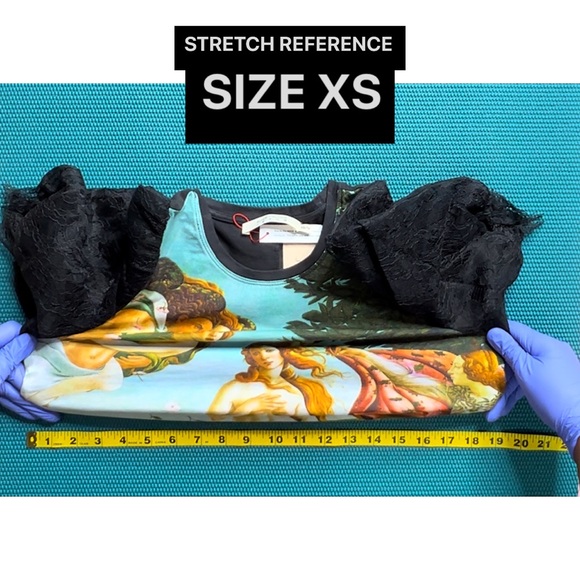 Alice + Olivia Posey Lace Puff Sleeve Blouse Tee Top - Picture 11 of 16